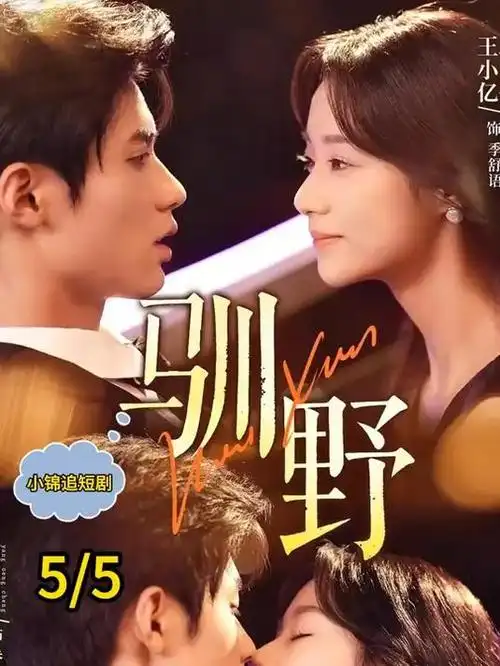 归途列车 都市情感电视剧全集免费观看